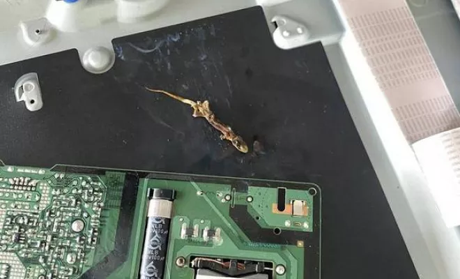 Réparation de gros électroménager, Saint-Joseph, NouRépar